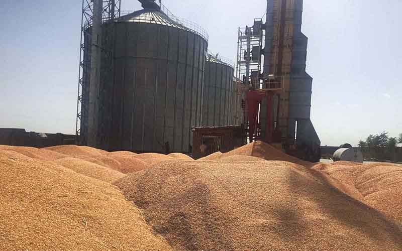 Wheat silos